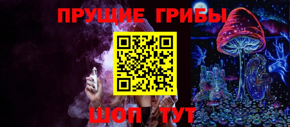 Галлюциногенные грибы прущие грибы Мичуринск
