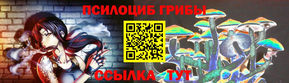 Галлюциногенные грибы Cubensis  Псилоцибиновые грибы Psilocybe  Мичуринск  Вход с VPN 